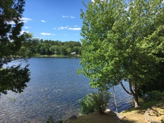 Living Lakeside