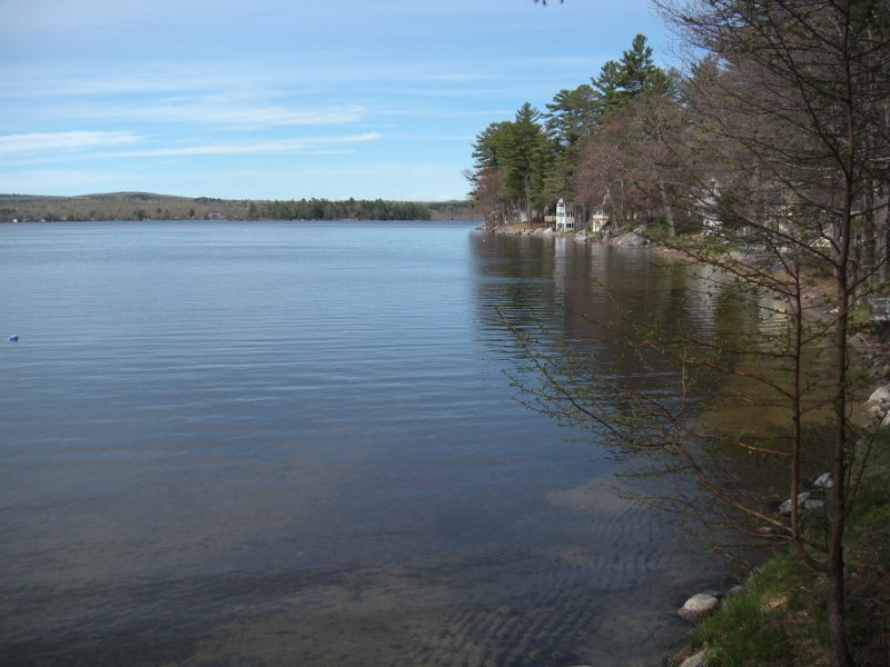 Cozy Cottage Spectrum Property Management