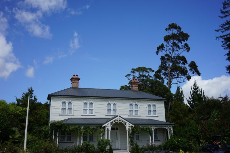 white house near trees