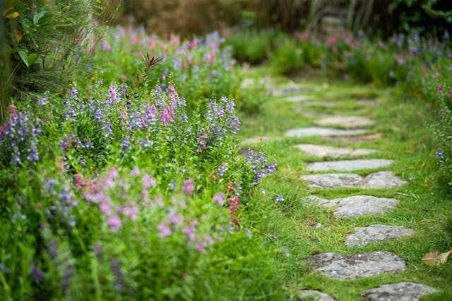 garden-path-way